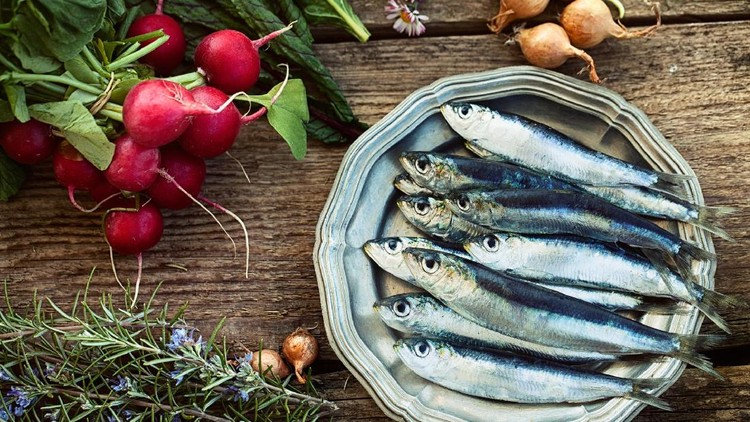 Nggak cuma bikin si kecil makin cerdas, makan ikan punya manfaat lain lho...