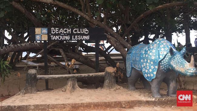 Menurut menteri asal Banyuwangi ini, salah satu kekuatan Tanjung Lesung adalah wisata bahari. Sehingga menjadi wajib ada dive centre di KEK ini.