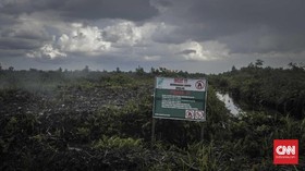 KLHK Target Restorasi Gambut 1,2 Juta Hektar Hingga 2024
