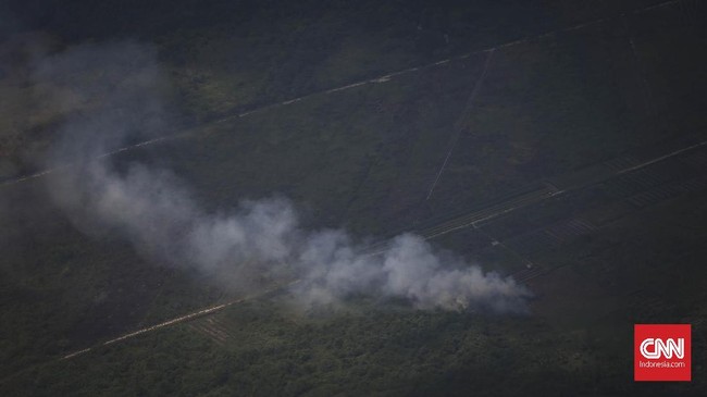 Asap dari kebakaran hutan dan lahan menyebar tak kenal batas negara. Karena itu masalah kebakaran hutan dan lahan dinilai Wiranto sebagai masalah global.