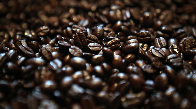 SCAI menyatakan, selain faktor kualitas, ada faktor biaya logistik yang jadi pertimbangan harga biji kopi Indonesia lebih mahal.