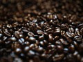 Jokowi 'Jualan' Kopi Indonesia di Selandia Baru