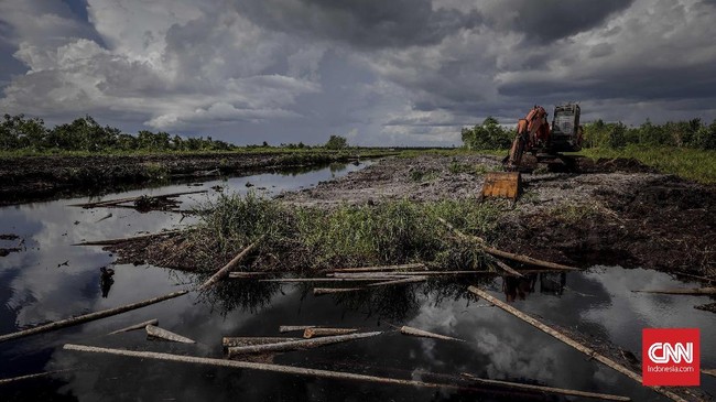 Pemerintah memberi peringatan kedua kepada PT Riau Andalan Pulp and Paper karena rencana kerja usaha (RKU) dianggap tidak sah.