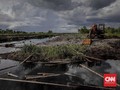 BRG Pulihkan Jutaan Hektare Lahan Gambut