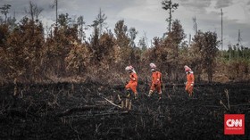 Pemerintah Tambah Anggaran Rehabilitasi Hutan Rp1,5 Triliun