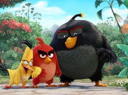 Pandemi Bikin Angry Birds Jadi Happy