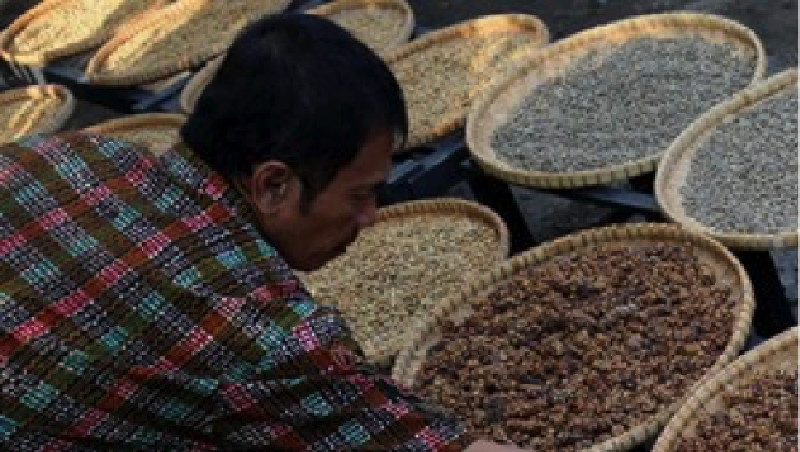 Ribuan orang ngopi bareng di Hari Kopi Internasional (International Coffee Day) di Bandar Lampung bareng Gubernur Lampung Muhammad Ridho Ficardo.