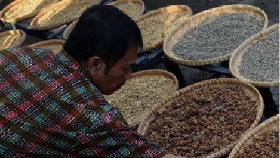 Nikmati Wisata Kopi di International Coffee Day