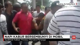 VIDEO: Napi Kabur Bersembunyi di Mobil