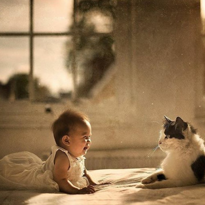 <p>Si kecil ini selalu happy kalau lihat kucing. (Foto: Instagram @butnaturalphotography)</p>