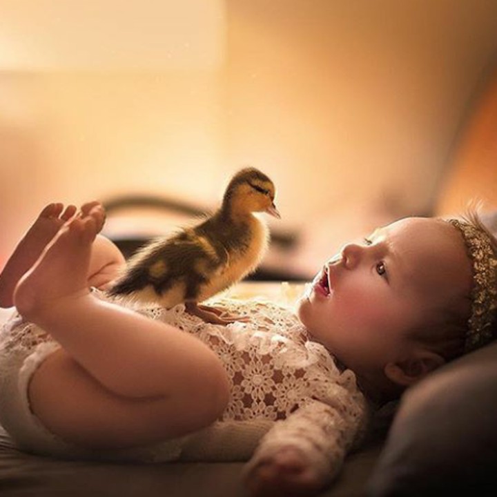 <p>Bebeknya ingin ikut tidur di kasur, nih. Menggemaskan! (Foto: Instagram @butnaturalphotography)<br /><br /></p>