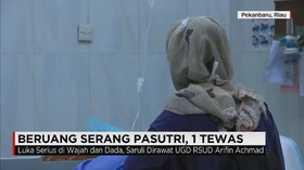 BERUANG SERANG PASUTRI, 1 TEWAS