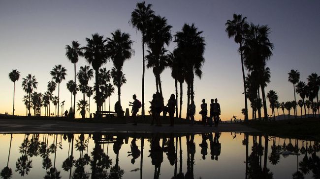 Kota Los Angeles identik dengan pohon palem. Tapi pemerintah kota berencana untuk tak lagi menumbuhkannya. Apa alasannya?