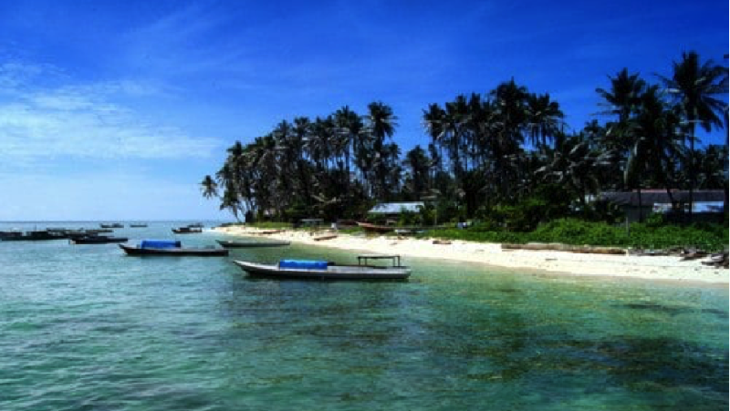 Spot Diving Unggulan Berau Bakal Ditata Ulang Kepulauan Derawan di Kabupaten Berau, Kalimantan Timur (Kaltim) sudah dikenal sebagai surga bagi para pencinta diving.