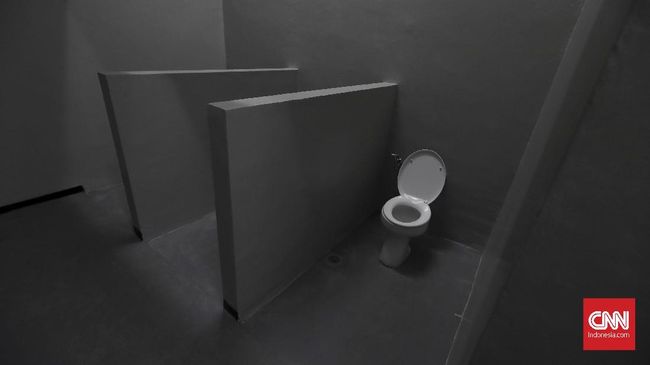 Jokowi Soroti Toilet Umum Di Objek Wisata Indonesia