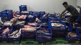 Investor Enggan Berinvestasi di Industri Pengolahan Ikan