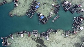 FOTO: Jaring Berkah dari Laut Natuna
