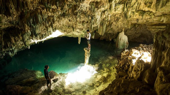 Menteri Koordinator Bidang Perekonomian Airlangga Hartarto akan mengevaluasi kenaikan harga tiket masuk Pulau Komodo menjadi Rp3,75 juta.