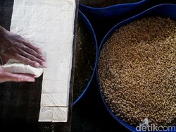 RI Jadi Produsen Tahu Tempe yang Kecanduan Impor Kedelai, Kok Bisa?
