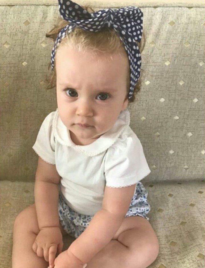 Gambar Anjing Marah Lucu / Gambar Muka Kucing Marah | Kucing, Gambar