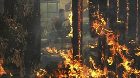 Korban Tewas Kebakaran California Capai 29 Jiwa