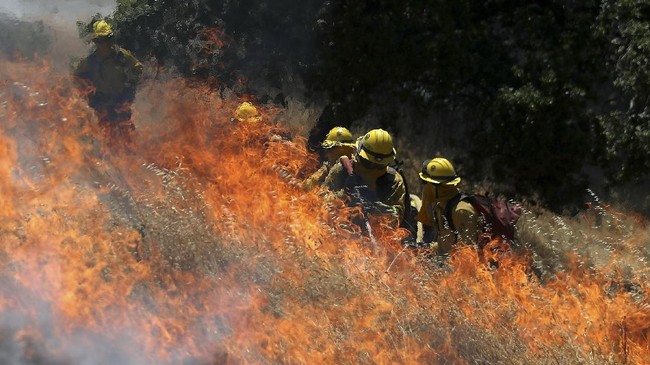 Swedia minta bantuan darurat dari Uni Eropa untuk mencegah meluasnya kebakaran hutan akibat gelombang panas yang melanda wilayah Nordik, Rabu (17/7).