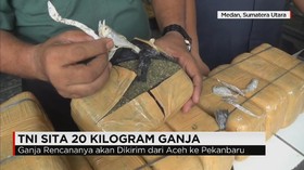TNI Gagalkan Pengiriman 20 Kg Ganja dari Aceh ke Pekan Baru