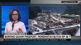 Borong Saham Freeport, Pemerintah Butuh Rp 46 T