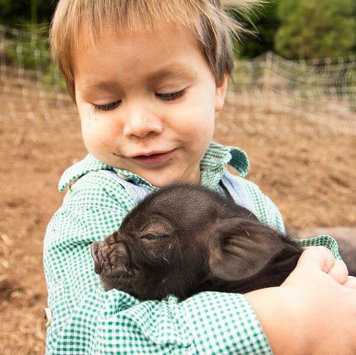 <p>Lucunya si kecil menggendong bayi babi yang umurnya baru 1 jam. (Foto: Instagram @oliverhiller)</p>