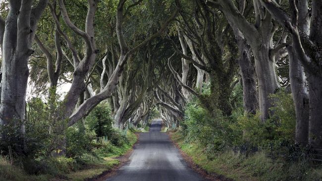 Sebuah jalanan di Irlandia jadi macet setelah banyak turis dan penggemar 'Game of Thrones' yang datang untuk berfoto selfie.