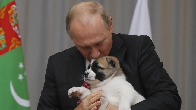 Presiden petahana Rusia Vladimir Putin yang kembali mencalonkan diri dalam pemilihan umum keempat kali dalam pilpres ini tidak diusung partai politik.