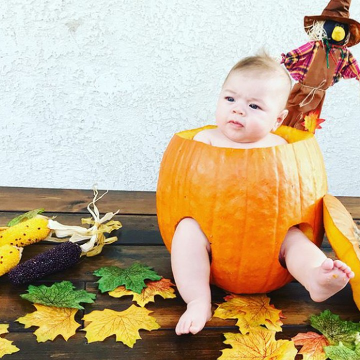 <p>Lucu banget sampai masuk ke dalam pumpkin! (Foto: Instagram @aktrink8)</p>