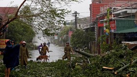 Banjir dan Longsor di Vietnam, 37 Orang Tewas