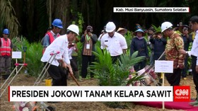 Presiden Jokowi Menanam Bibit Pohon Kelapa Sawit