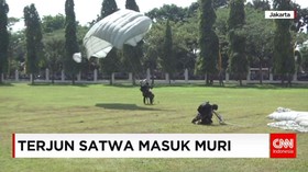 Terjun Payung Bawa Anjing Pecahkan Rekor MURI