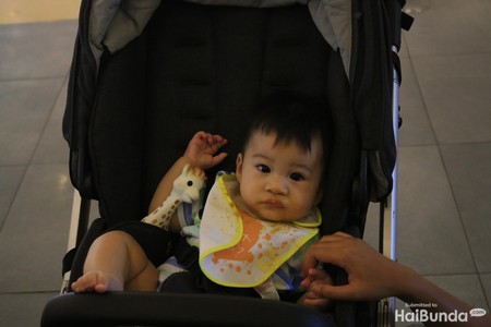 Erotik komediya video