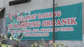Mengelola Sampah Di Kampung Organik
