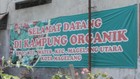 Mengelola Sampah Di Kampung Organik