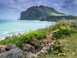 Video: Heboh Penemuan 4 Jenazah Orang Hilang di Pulau Jeju, Korsel