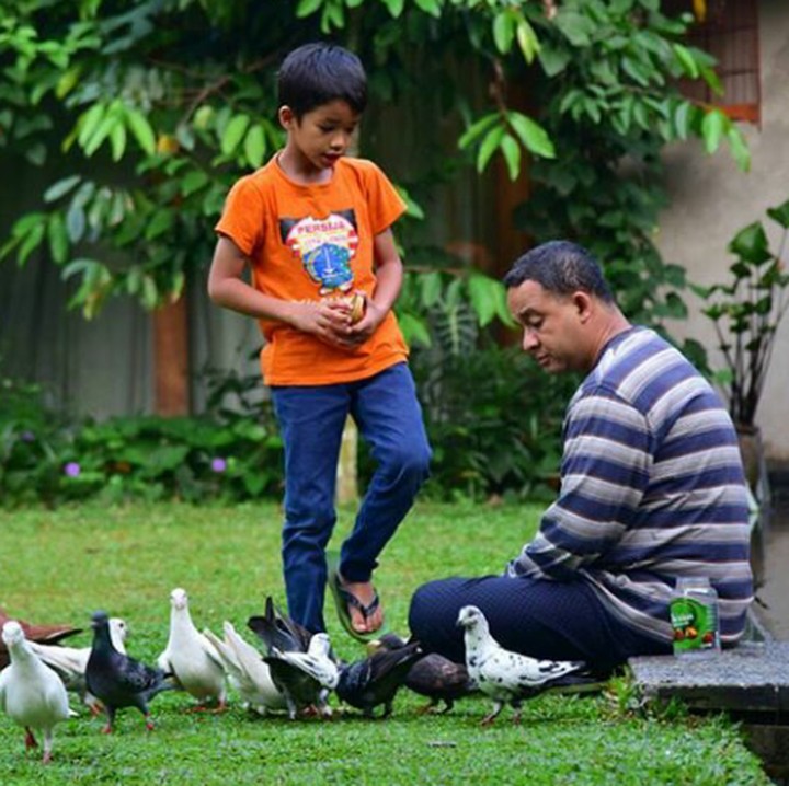 <p>Memberi makan burung bersama si kecil Ismail. (Foto: Instagram @aniesbaswedan)</p>