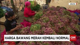 Sempat Anjlok, Harga Bawang Kembali Normal