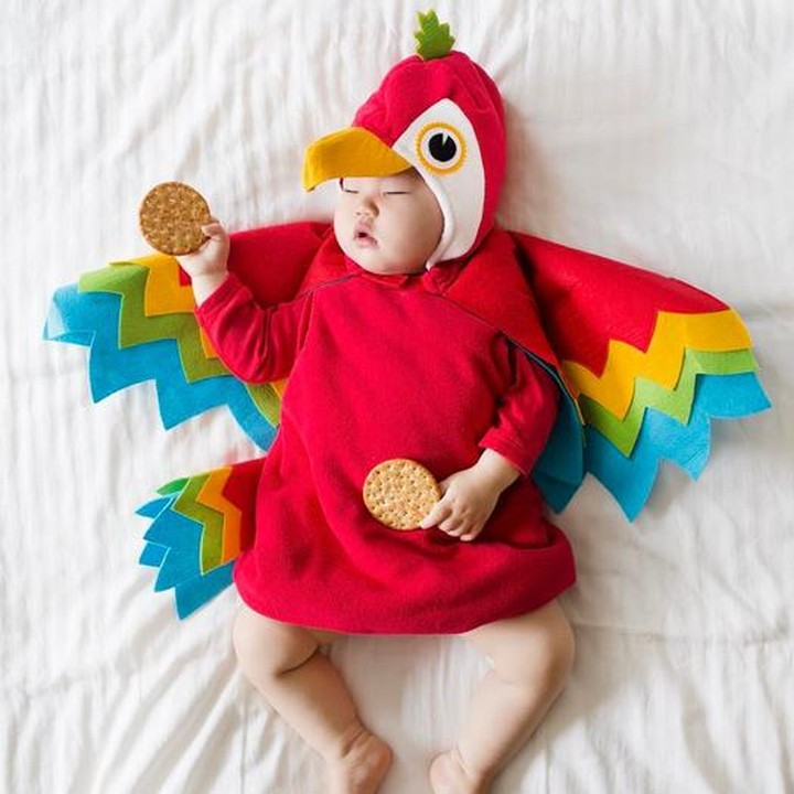 <p>Hayo, siapa yang mau punya burung nuri kayak gini? Hi-hi-hi. (Foto: Instagram/ @lauraiz)</p>