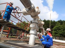 PGE Raih Laba Rp 2,56 T di 2023, Naik 28,47%