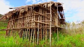 Mengapa Suku Arfak di Papua Tinggalkan Rumah 'Kaki Seribu'