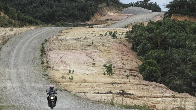 Lima proyek strategis nasional didominasi pihak swasta yang telah menggelontorkan sedikitnya Rp2.414 triliun, lebih tinggi dibandingkan pembiayaan pemerintah.