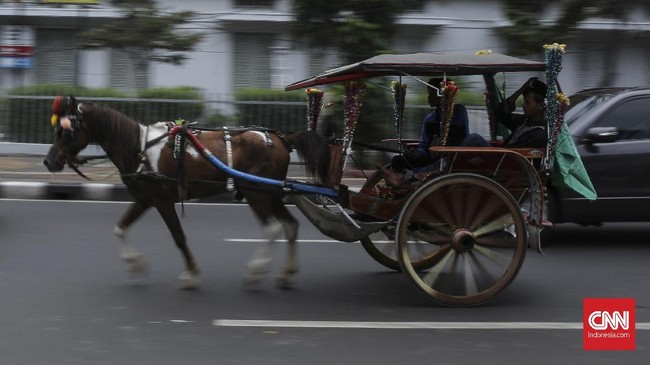 FOTO: Delman Ramaikan Kirab Budaya Hari Santri Nasional 2017