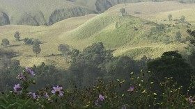 Bukit Teletubbies, Spot Favorit di Bromo yang Dilalap Api