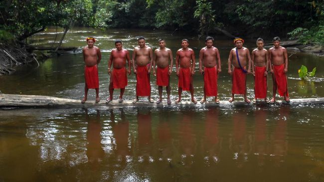 Suku Asli Amazon Blokade Jalan Tuntut Bantuan Hadapi Corona Menurut data, sebanyak 21 ribu masyarakat asli Brasil telah terinfeksi Covid-19 dan sebanyak 618 orang telah meninggal dunia.