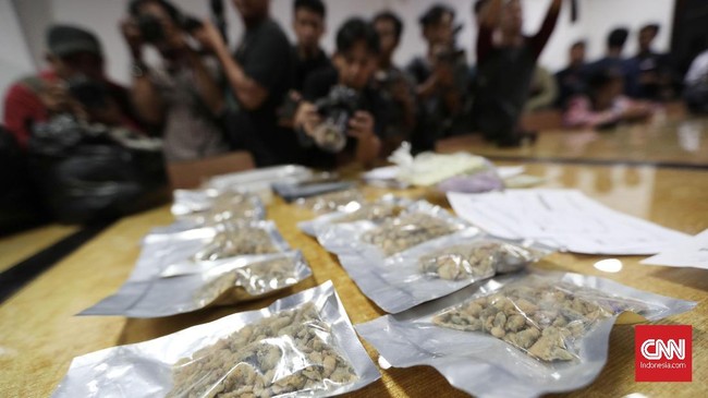 Sejumlah pemuka agama dari beberapa kepercayaan diminta mengonsumsi magic mushroom atau jamur ajaib yang memabukkan untuk menakar tingkat religiusitas mereka.