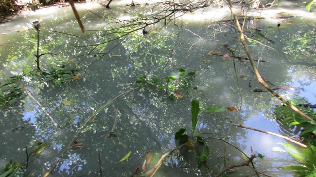 Sebelum ada garam modern, suku-suku Papua yang tinggal di dalaman Papua, jauh dari pantai, mengandalkan kolam air asin sebagai sumber garam.
